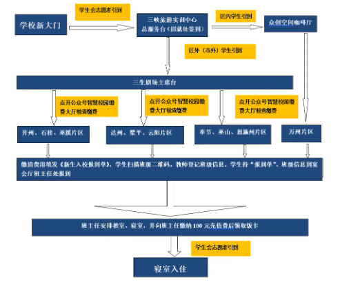 报到流程